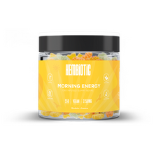 Load image into Gallery viewer, Hembiotic 2750mg Bulk CBD Gummy Bears - 550g
